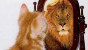 kat-ziet-leeuw-in-spiegel